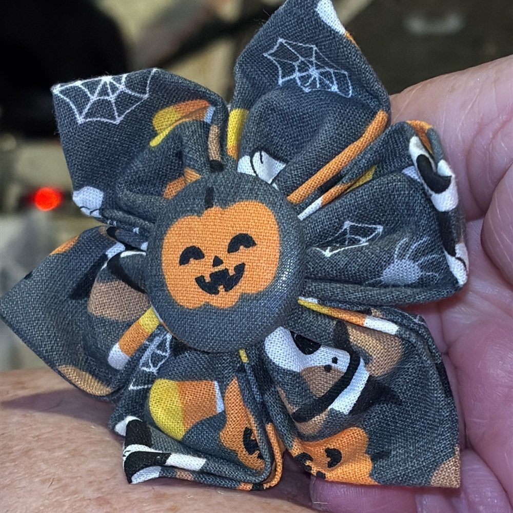 Spooky Pumpkin dog Hair Bow goes around there collar